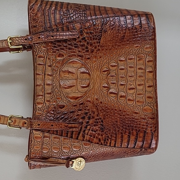 Brahmin 